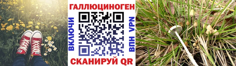 Псилоцибиновые грибы Magic Shrooms закладка Бакал